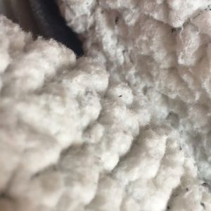 Meet your Posher, Savannah